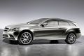 Mercedes-Concept-Paris-Shooting-Brake-5.jpg