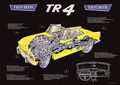 Triumph TR4 poster.jpg