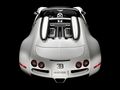 Bugatti-Veyron-Grand-Sport-3.jpg