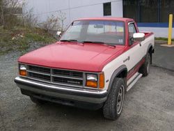 1988 Dodge Dakota