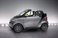 Smart-Fortwo-Greystyle-12.jpg