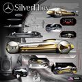 Mercedes Silverflow3.jpg