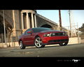 2010-Ford-Mustang-65.jpg