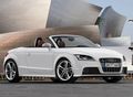 Audi TTS 1.jpg